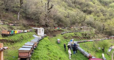 Artvin'deki Bal Çalıştayı'nda Kafkas Arısı Gen Merkezi İncelendi