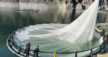 Artvin'den 67 Ülkeye Türk Somonu İhraç Ediliyor