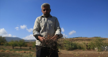 Asi Nehri'nin Kuruması İdlib'de Gıda Krizini Derinleştiriyor