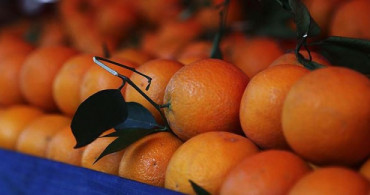 Aşırı C Vitamini Tüketimi Mesaneye Zarar Veriyor