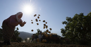 Aşırı sıcaklar alarm veriyor: 1 milyardan fazla kişinin geçimi tehdit altında