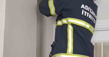 Asma Tavanda Sıkışan 4 Yavru Kedi Kurtarıldı