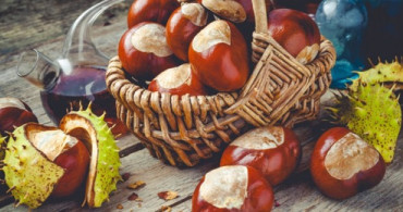 At Kestanesi Kreminin Faydaları Nelerdir?