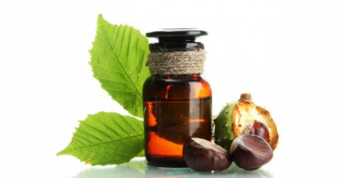At Kestanesinin Faydaları Ve Kullanımı