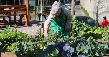 Ataşehir Kent Bostanları'nda Yeni Dönem Başlıyor
