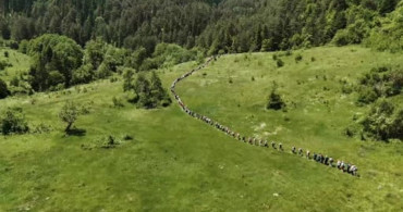 Atatürk ve İstiklal Yolu Yürüyüşü Seydiler'e Ulaştı
