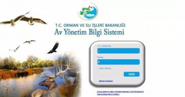 AVBİS Nedir, Nasıl Kullanılır?