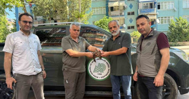 Avcılar yaralı çulluğu doğa koruma ekiplerine teslim etti