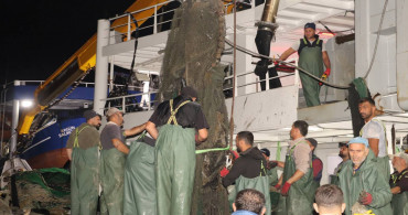 Avlanmak için denize açılmışlardı: Ağlarına uçak parçaları takıldı