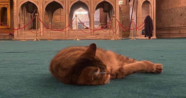 Ayasofya'da Halı Serim İşlemi Bitti! Gli Artık Daha Rahat