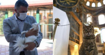 Ayasofya'nın Kedisi Gli'ye Yeni Bir Arkadaş Geldi!