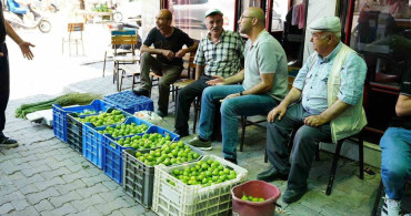 Aydın İlek Pazarında Fiyat Dalgalanmaları