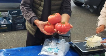 Aydın'da 850 Gramlık Domatesle Bayram Pazarı Canlandı