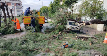 Aydın'da Fırtına Sonrası Ağaç Devrildi, Araç Zarar Gördü
