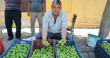 Aydın'da İlek Pazarları Hareketli