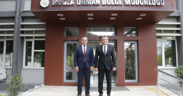 Aydın'da Kestane Ağaçları İçin Biyolojik Mücadele