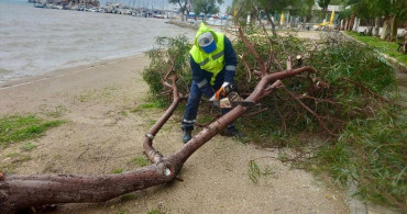 Aydın'da Şiddetli Yağış ve Fırtına Hayatı Olumsuz Etkiledi