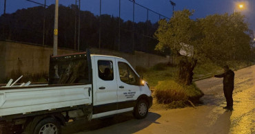 Aydın'da Şiddetli Yağışların Ardından Zeytin Ağacı Sokağa Sürüklendi