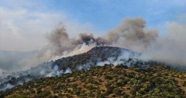 Aydın'da Ziraat Alanında Yangınla Mücadele