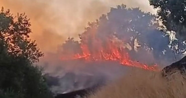 Aydın'da zirai alanda yangın kontrol altına alındı