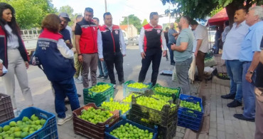 Aydın'ın dünya markası inciri için sahada yoğun mesai