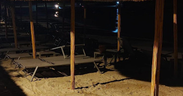 Aydın'ın Kuşadası ve Didim kıyılarında caretta hareketliliği