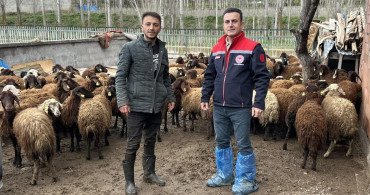 Aydıntepe'de Kırsal Üretim Projelerinde Kontroller Devam Ediyor