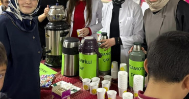 Aydıntepe'de Öğrenciler Tarafından Çay Festivali Gerçekleştirildi