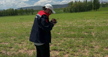 Aydıntepe’de ürün tespit çalışmaları devam ediyor