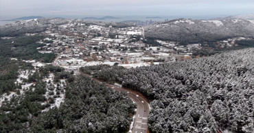 Aydos Ormanı'nda Kar Manzarası