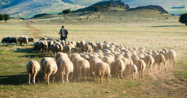 Aylık 30 bin liraya işçi bulamıyorlar: Eskiden o işi yapmak için yalvarıyorlardı