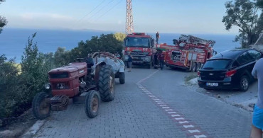 Ayvacık'ta zeytinlik alanda çıkan yangın kontrol altına alındı