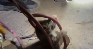 Ayvalık'ta Sondaj Kuyusuna Düşen Yavru Kedi Kurtarıldı