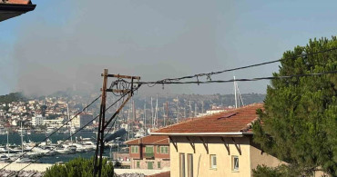 Ayvalık'taki örtü yangını kontrol altına alındı