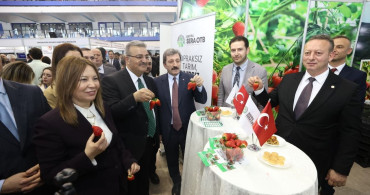 Bafra Standı OKAF 2026'da Göz Doldurdu