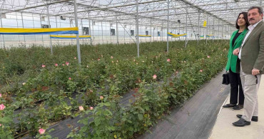 Bafra'da sera yatırımları artıyor