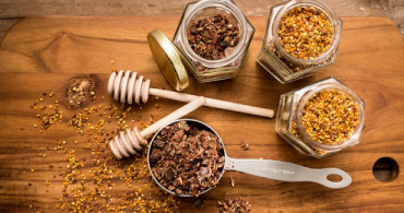 Bağışıklık Sistemine Propolis Desteği