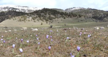 Bahar Yürüyüşü ile Doğa Tutkunları Bir Araya Geldi