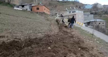 Bahçesaray’da Geleneksel Tarım: Karasaban Yöntemi