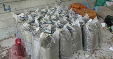 Bahçesinde solucan gübresi üreten vatandaş, ek gelir kapısı buldu