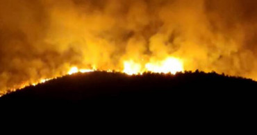 Bakan Açıkladı! Hatay Yangınında Sabotaj İhtimali Var