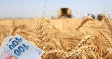 Bakan Kirişçi beklenen haberi verdi: Ödemeler bugün başladı! 756,6 milyon liralık destek hesaplara yattı