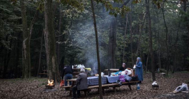Bakan Pakdemirli: Mangal Yasağı İçişleri Bakanlığının Gündeminde