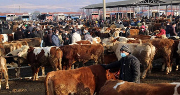 Bakanlık kırmızı alarm verdi: Ülke genelinde önlemler alındı