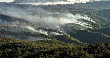 Bakanlık Yangınlar Hakkında Son Durumu Paylaştı