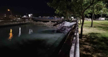 Bakırköy’de çırpıcı deresi’nde toplu balık ölümleri: afad inceleme başlattı