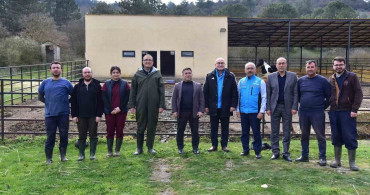 Balat, Türkiye’nin İlk Tüp Tayının Doğum Günü Kutlandı