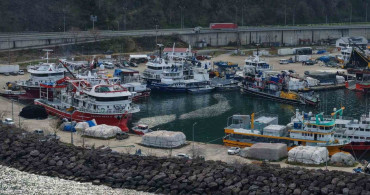 Balık Sezonu Değerlendirmesi: Hamsi ve İstavrit Boldu