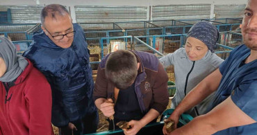 Balıkesir Üniversitesi veteriner fakültesi 1.250 hasta hayvana tedavi hizmeti sundu