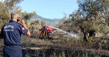 Balıkesir Ziraat Odası Başkanı Demirbay: "Bir yıllık emek bir sigara izmaritiyle kül olmasın"